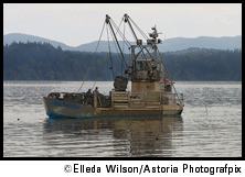 Oystering on the Willapa by Astoria Photograpix